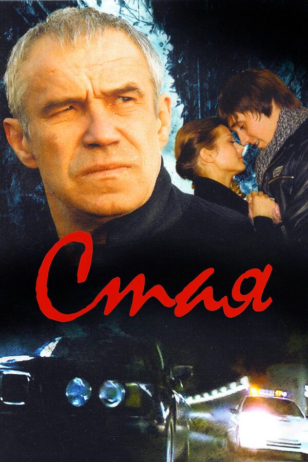 Стая Стая