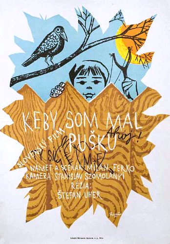 Если бы у меня было ружье