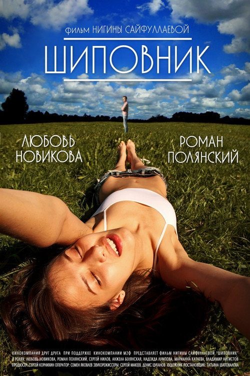 Шиповник Шиповник