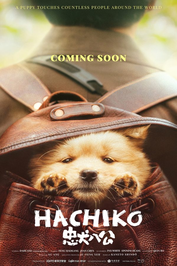 Мой Хатико Мой Хатико