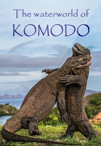 Водный мир острова Комодо