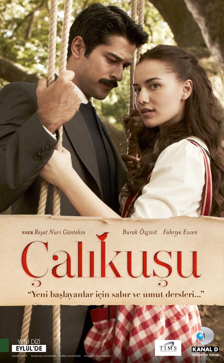Королёк — птичка певчая