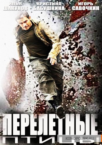 Перелётные птицы