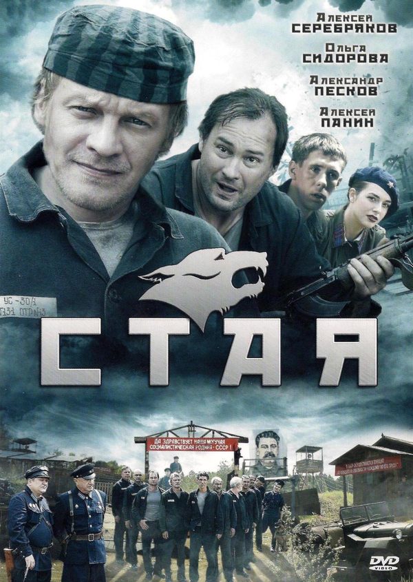 Стая